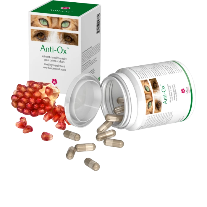 Anti-Ox 30 Gélules