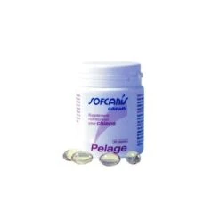 SOFCANIS PELAGE