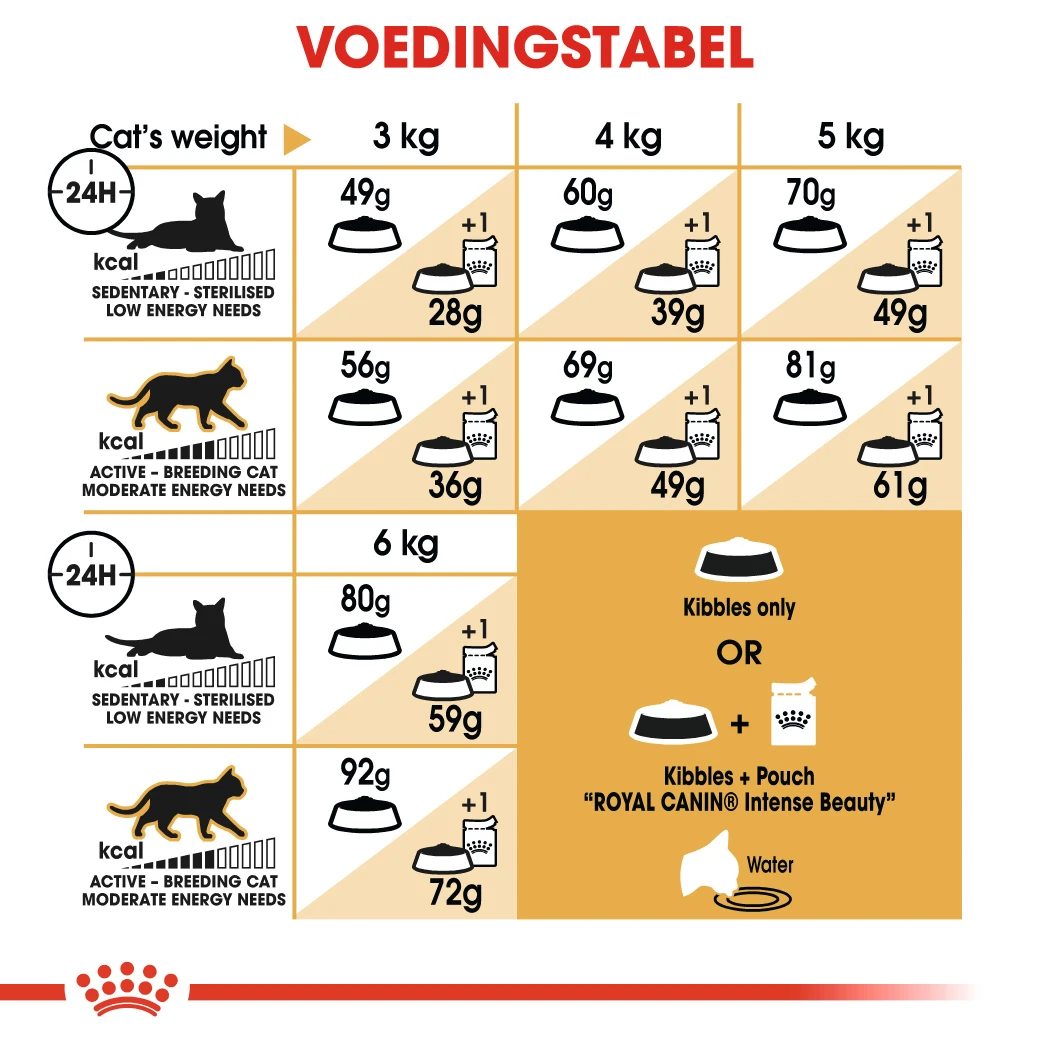 Royal Canin Sphynx Adult Pour Chat 10kg – Image 2