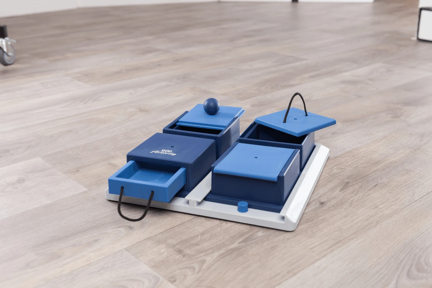 Trixie Jeu De Stratégie Pour Chien Poker Box 1 – Image 2