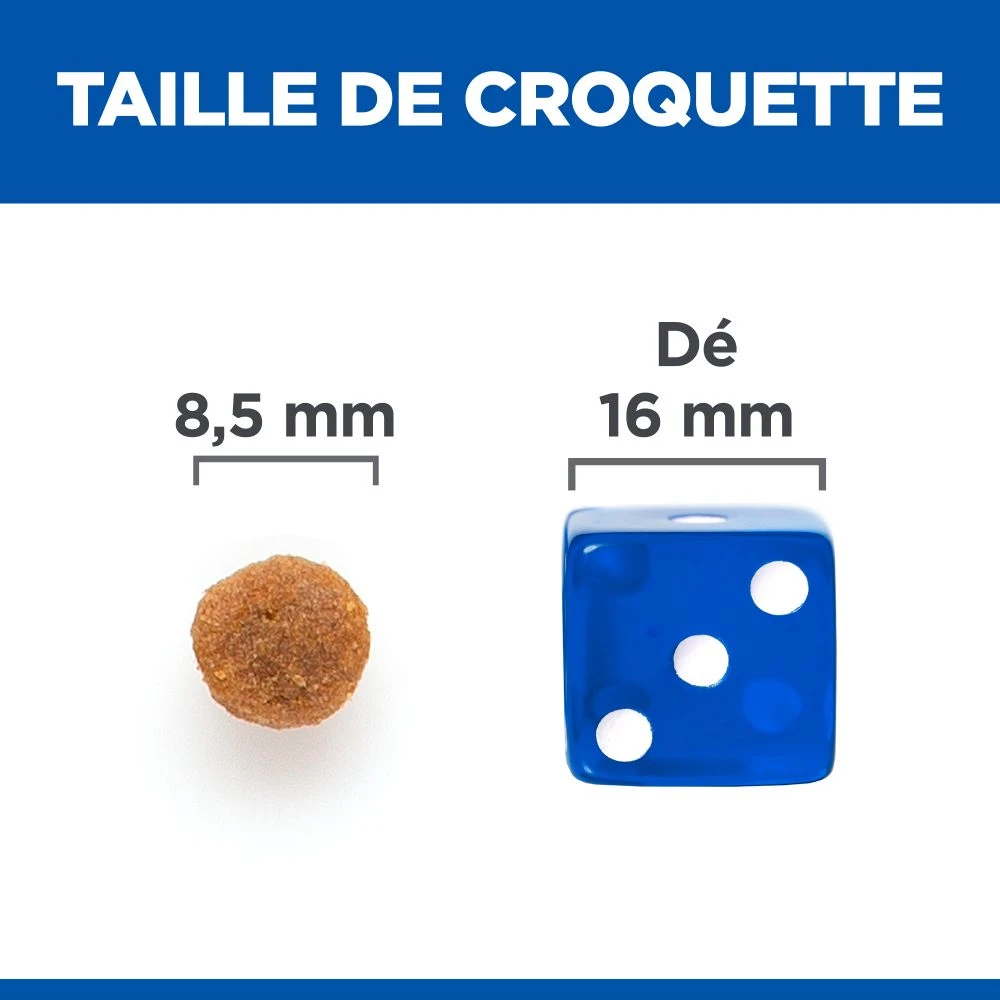 Hill's Science Plan No Grain Croquettes Sans Céréales Pour Chat Adulte Au Poulet - 1.5Kg – Image 6