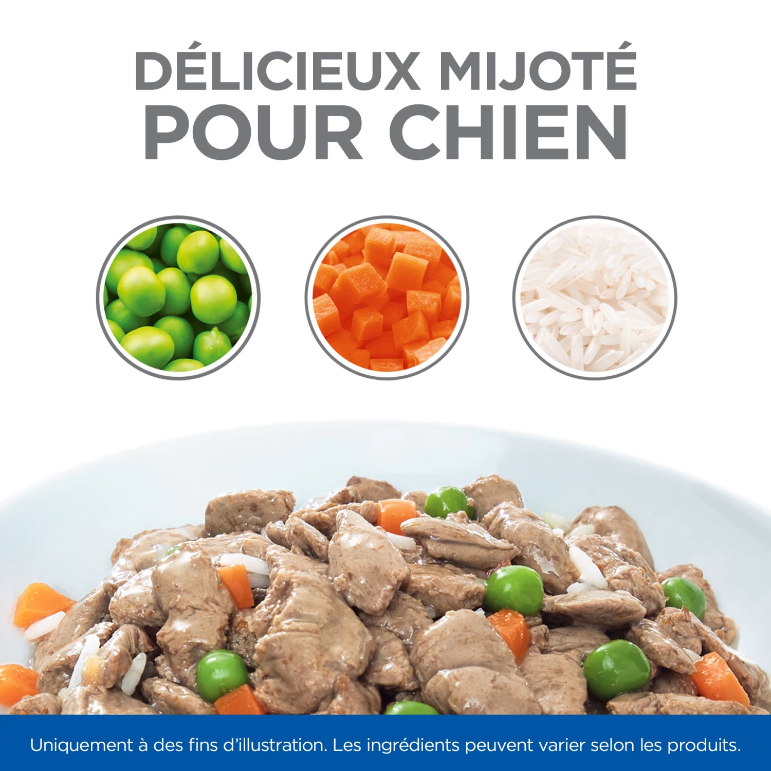 Hill's Science Plan Healthy Cuisine Mijoté Pour Chien Adulte Au Poulet Et Boeuf – Image 5