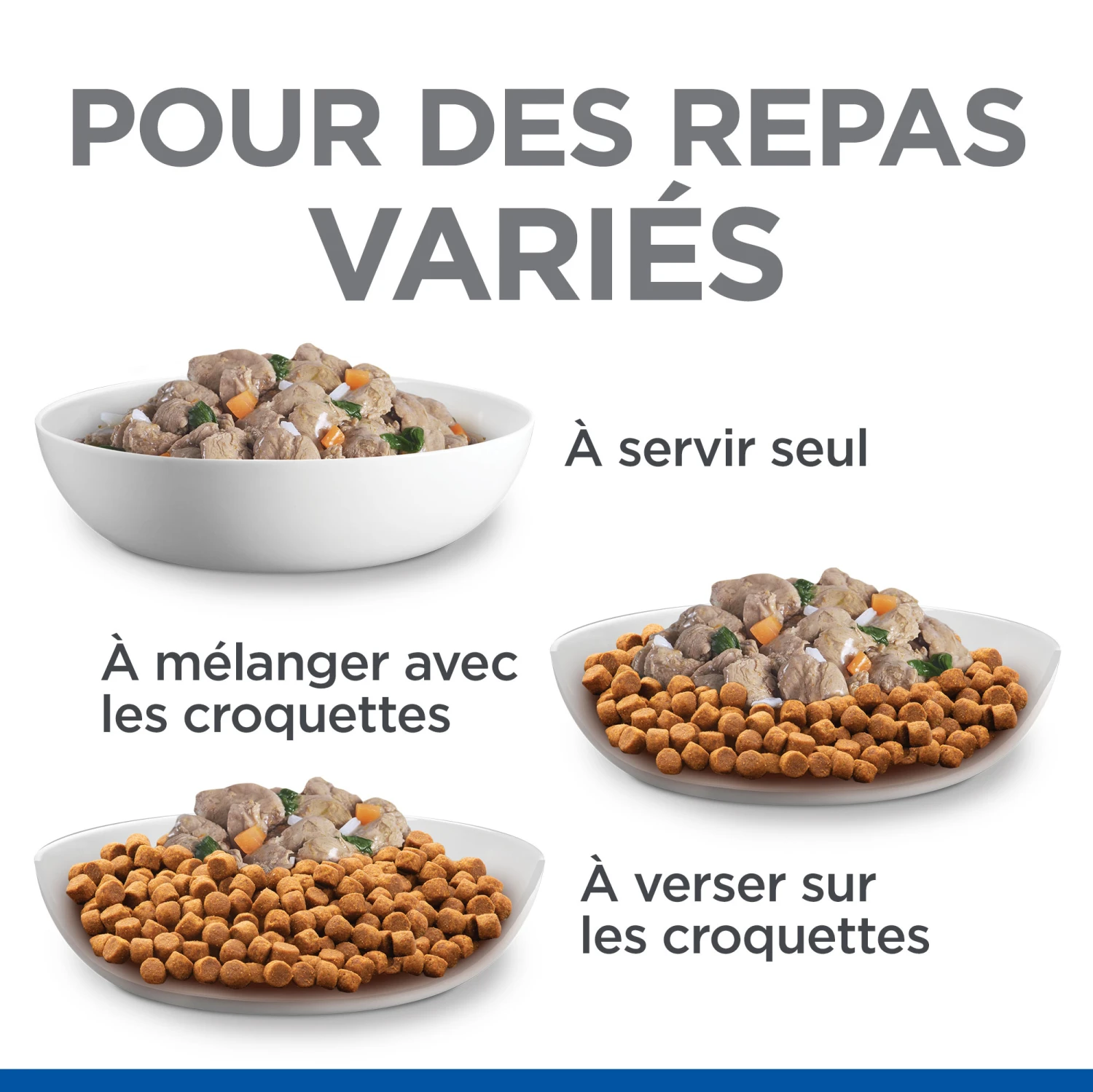 Hill's Science Plan Healthy Cuisine Mijoté Pour Chien Adulte Au Poulet Et Boeuf – Image 6