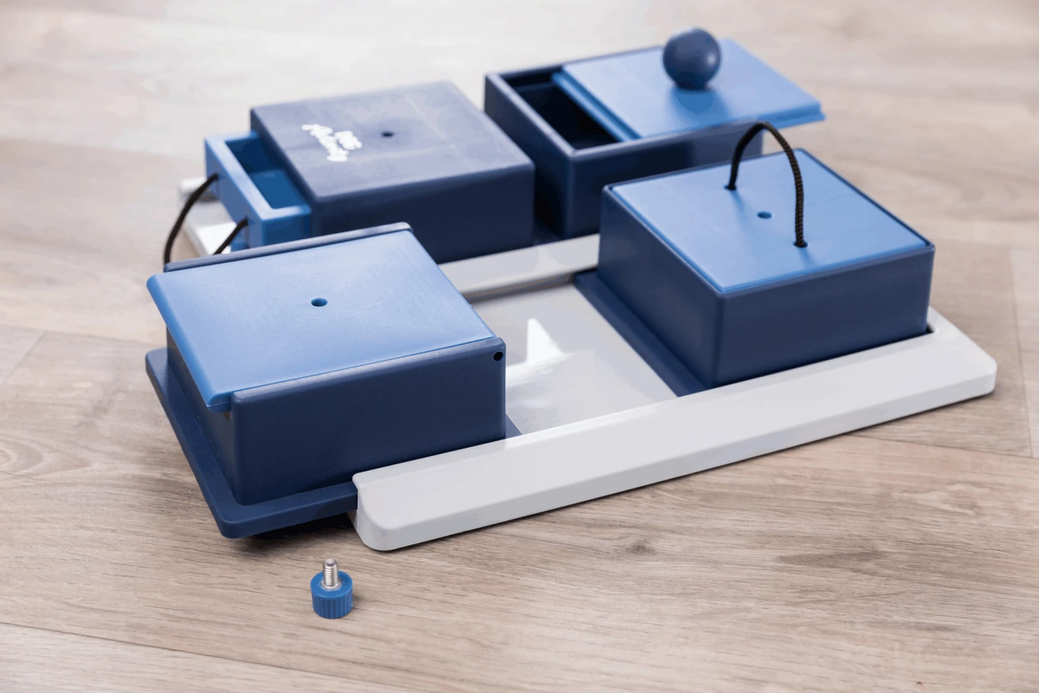 Trixie Jeu De Stratégie Pour Chien Poker Box 1 – Image 4