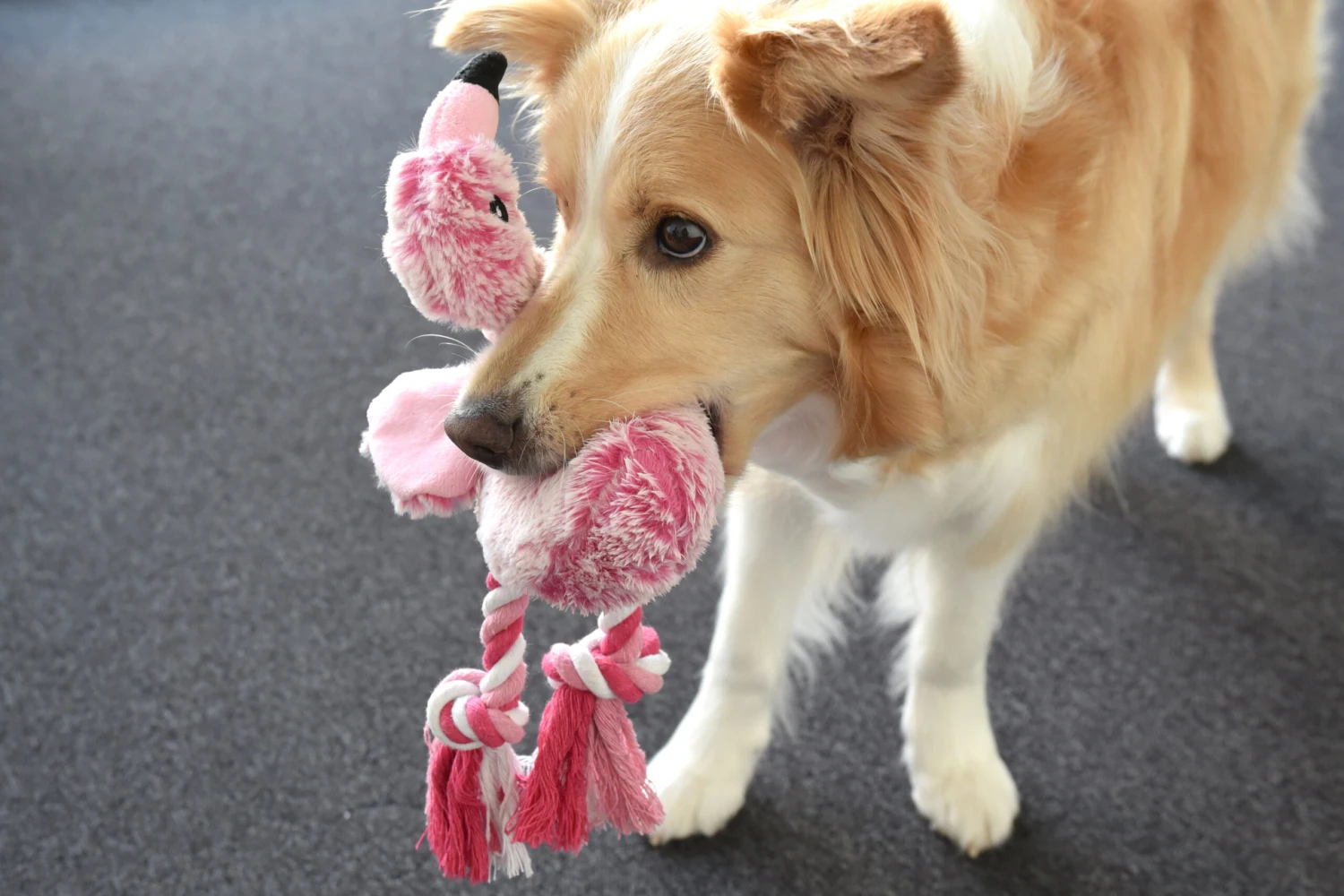 Flamingo Jouet Chien Peluche Andes Flamant Rose 36cm – Image 2