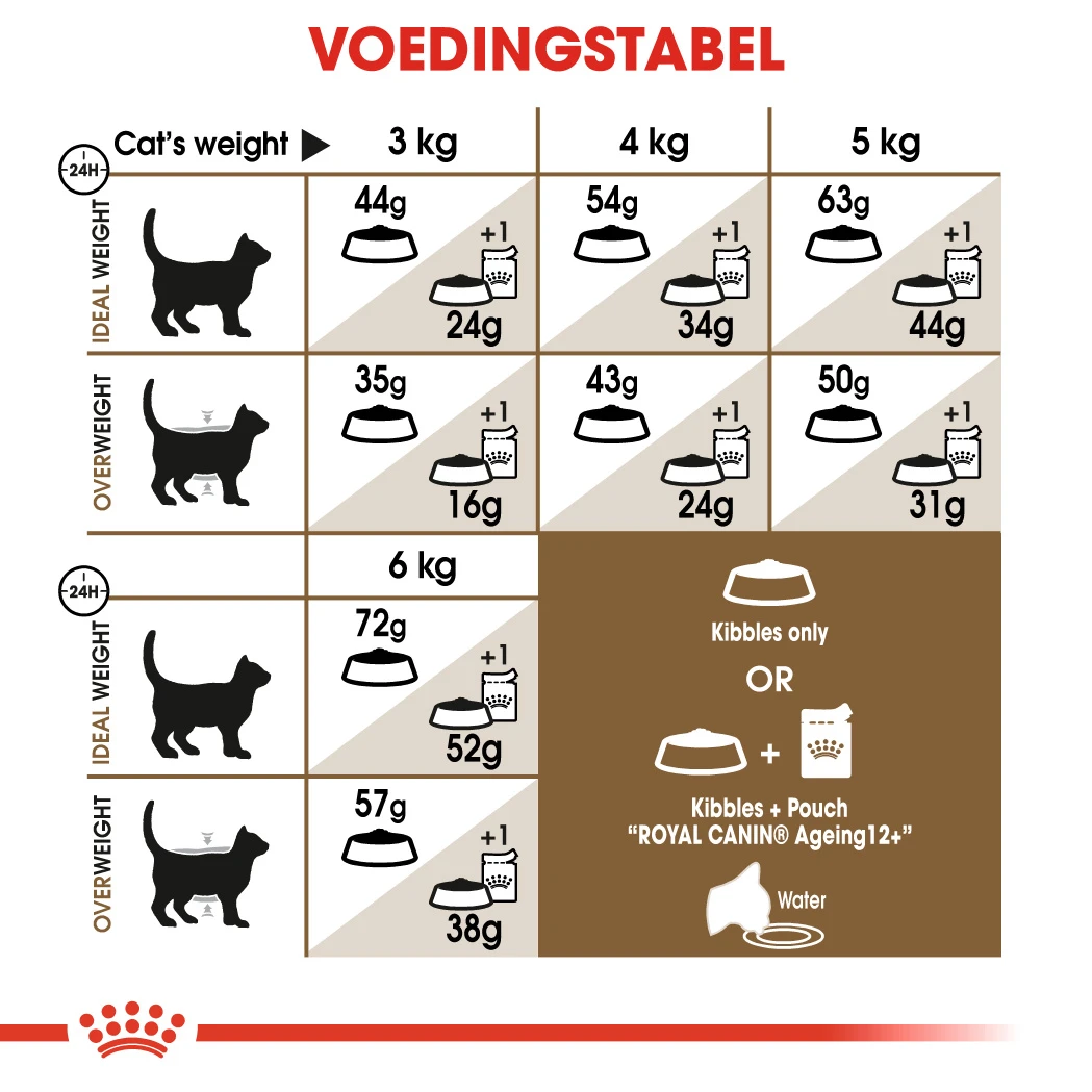 Royal Canin Ageing Sterilised 12+ Pour Chat 4kg – Image 2