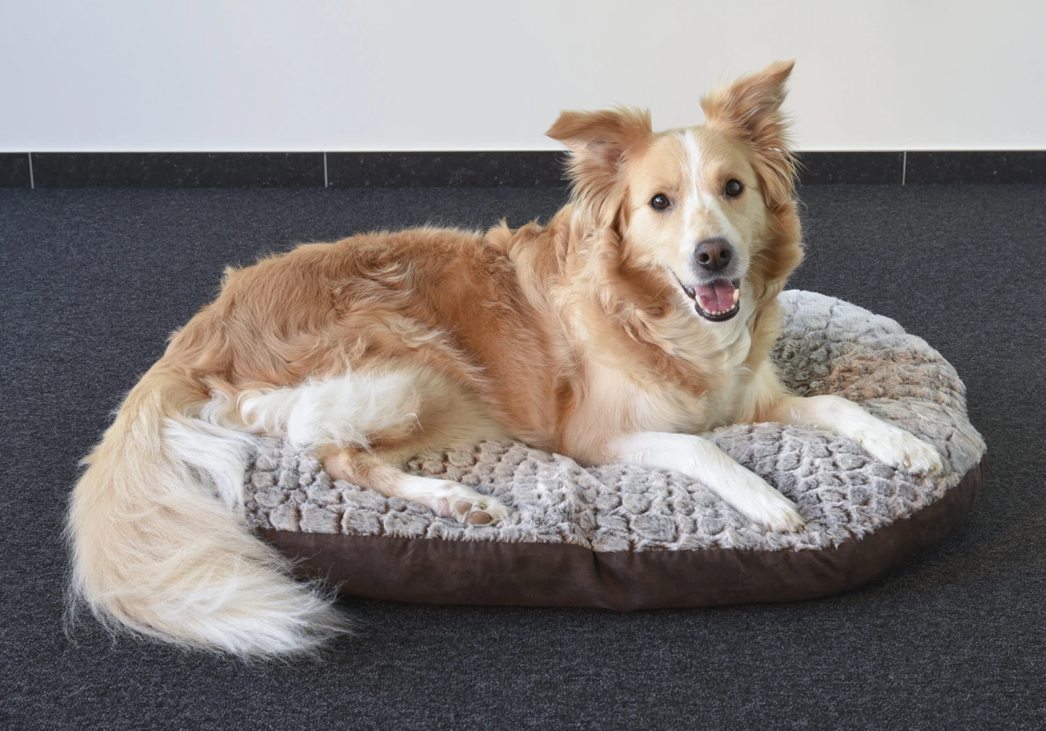 Flamingo Coussin Snoozzy Ovale Fermeture Eclair Brun 90x66x10cm – Image 3