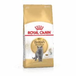 Royal Canin British Shorthair Pour Chat 10kg