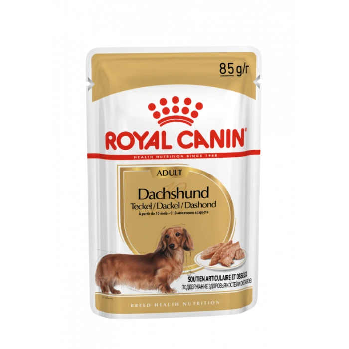 Royal Canin Teckel Adult Pour Chien 12 X 85g