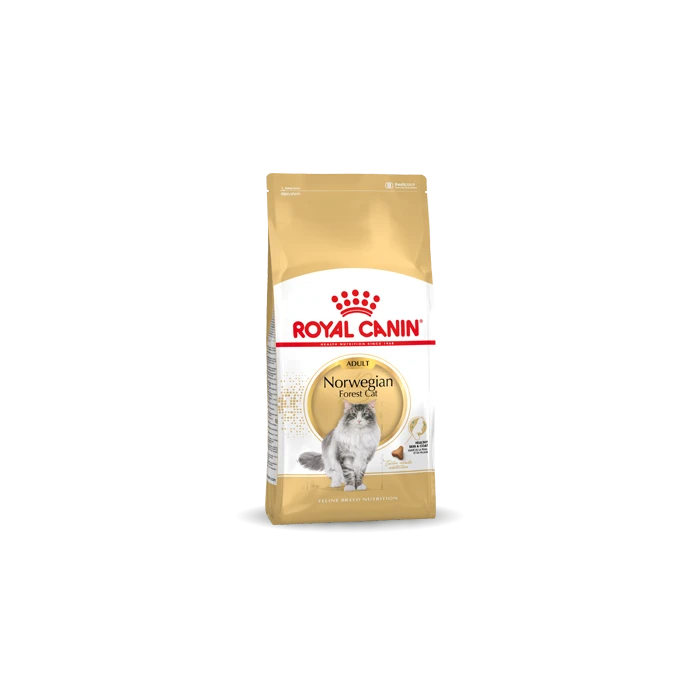 Royal Canin Chat Norvégien Adult 10kg