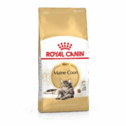 Royal Canin Maine Coon Adult Pour Chat 4kg