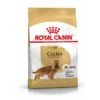 Royal Canin Cocker Adult Pour Chien 12kg