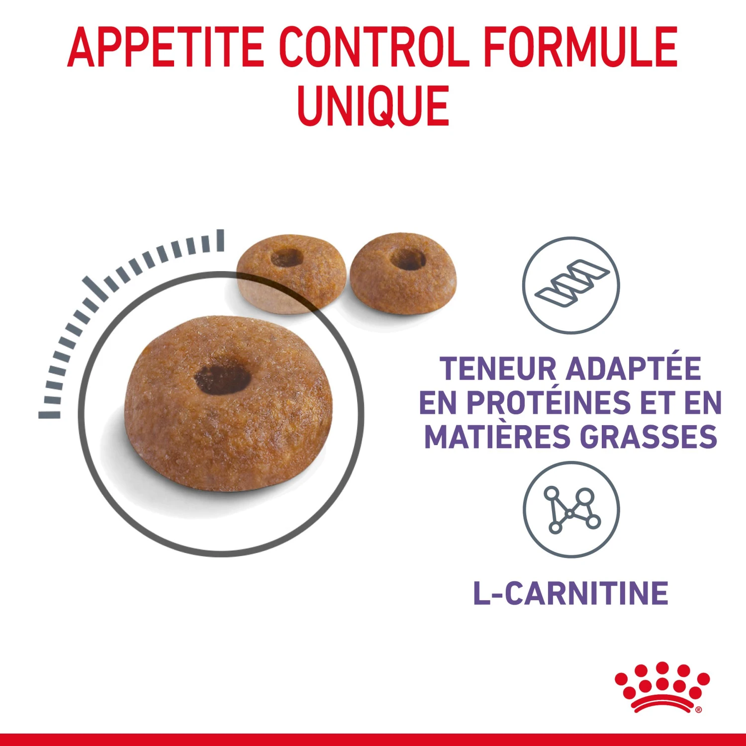 Royal Canin Appetite Control Pour Chat 10kg – Image 5
