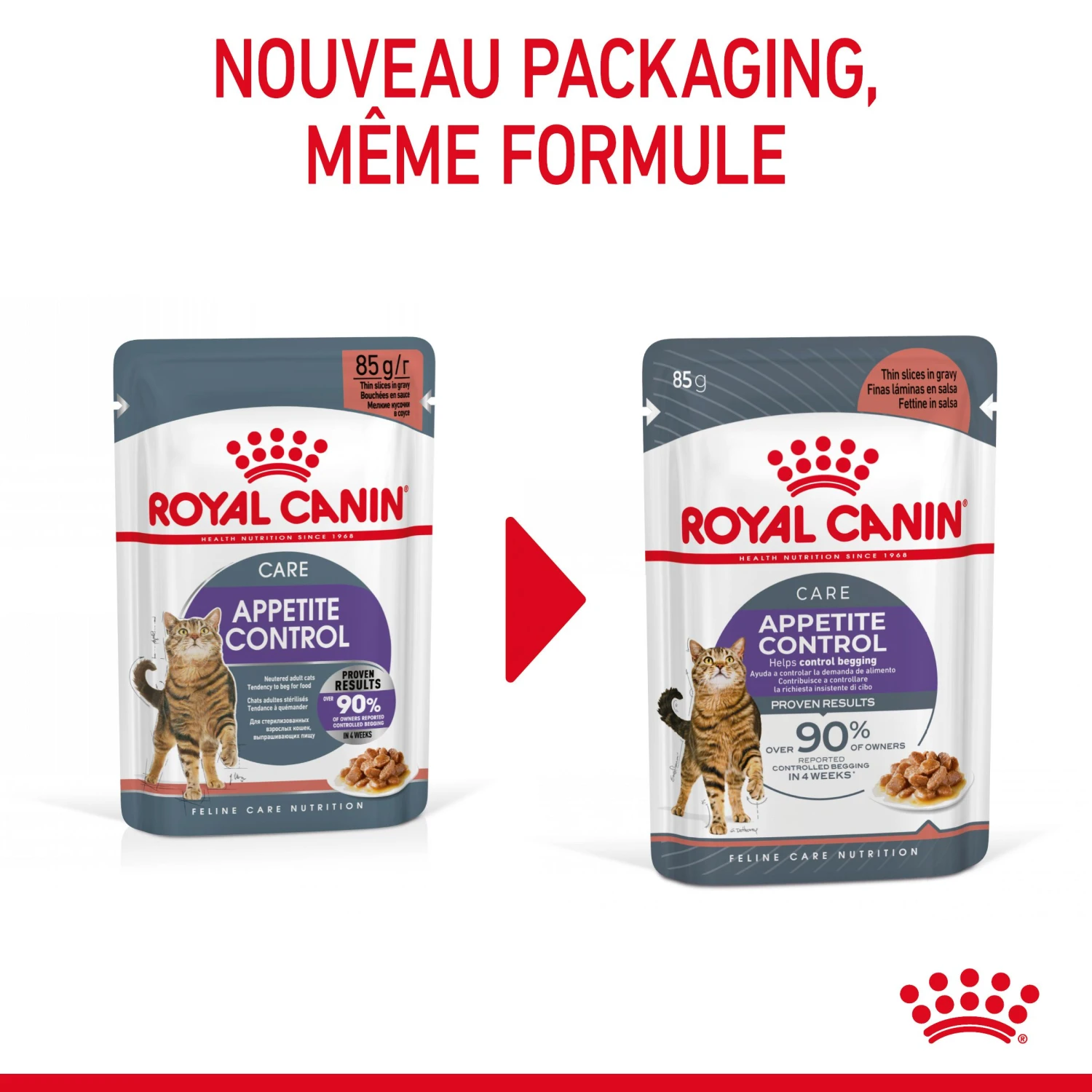 Royal Canin Appetite Control En Sauce Pour Chat 12 Sachets De 85g – Image 4