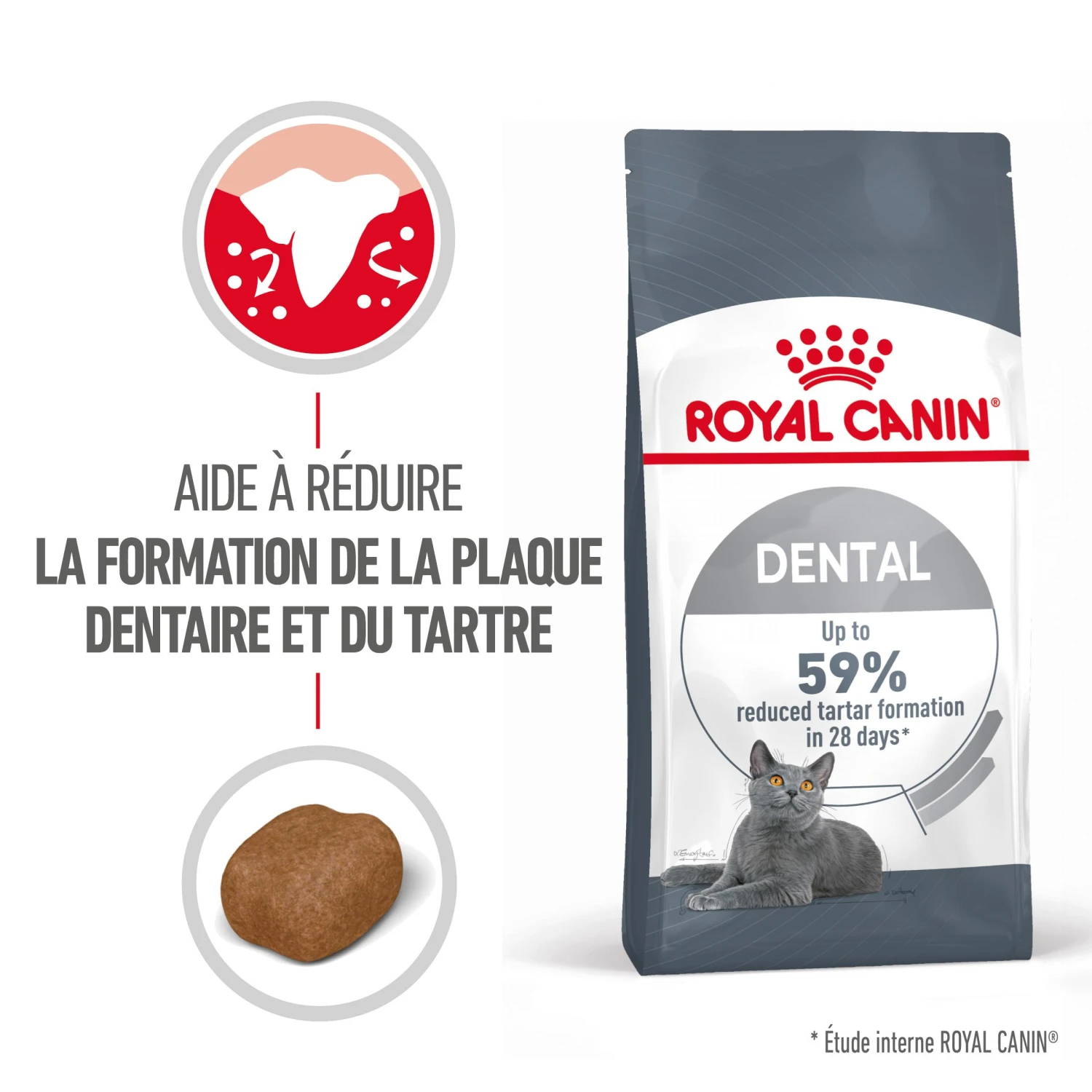 Royal Canin Dental Care Pour Chat 3,5kg – Image 2