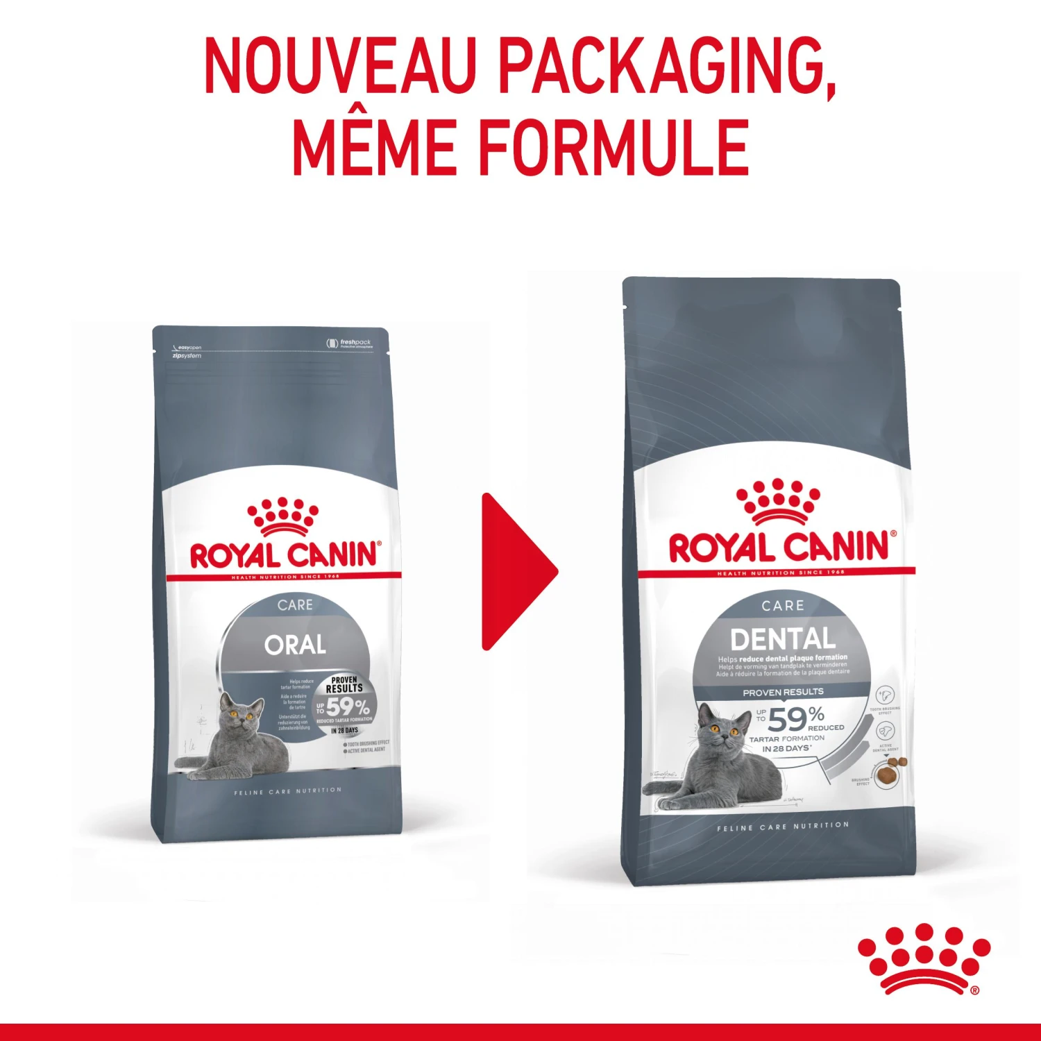 Royal Canin Dental Care Pour Chat 3,5kg – Image 3
