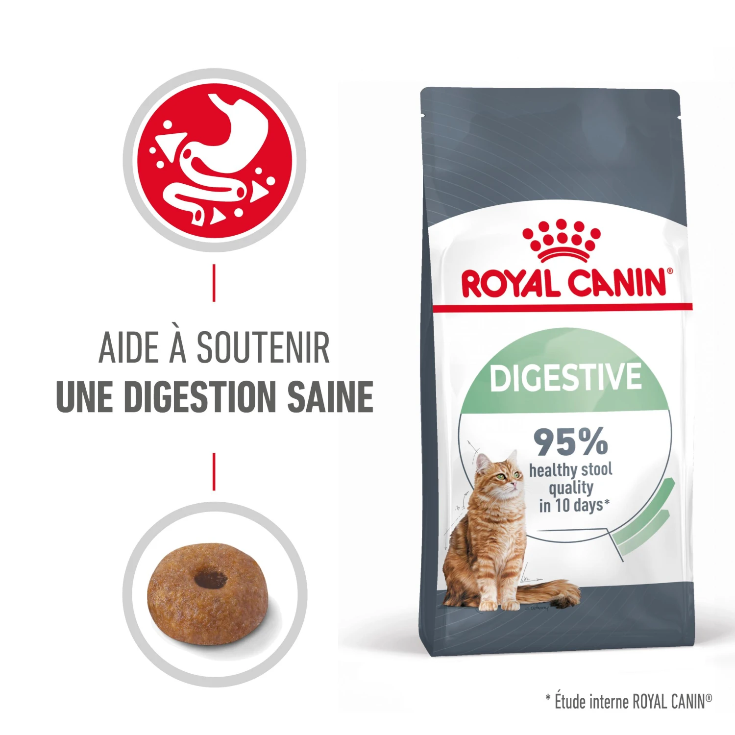 Royal Canin Digestive Care Pour Chat 2kg – Image 2