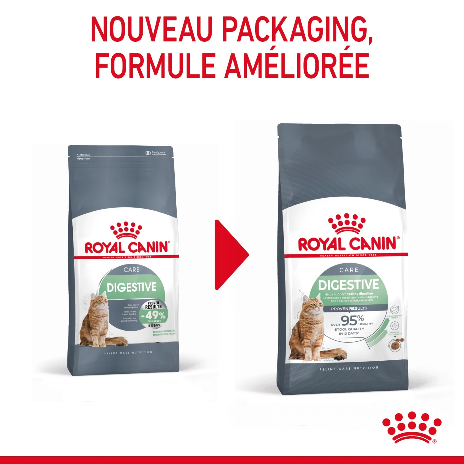 Royal Canin Digestive Care Pour Chat 10kg – Image 3