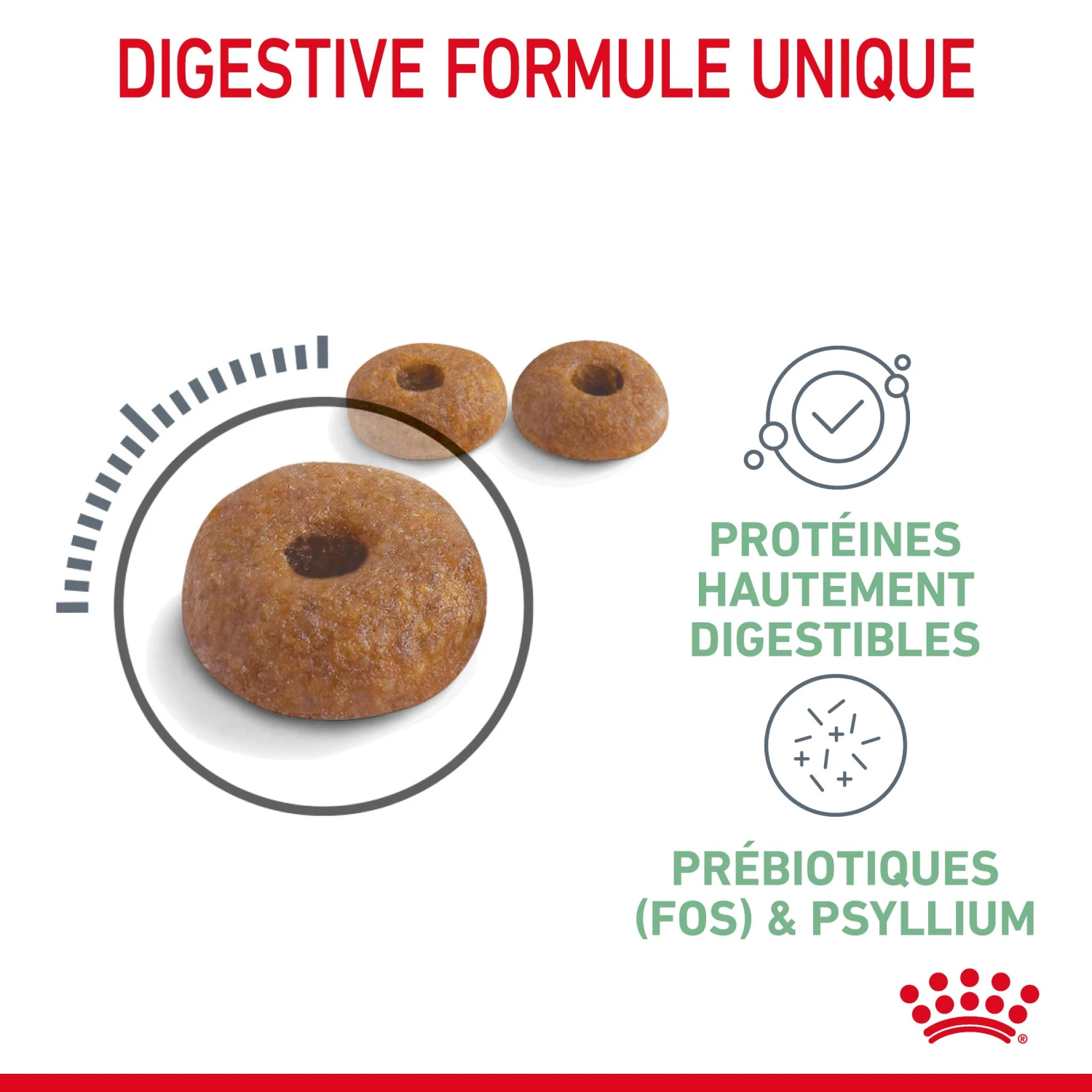 Royal Canin Digestive Care Pour Chat 10kg – Image 5