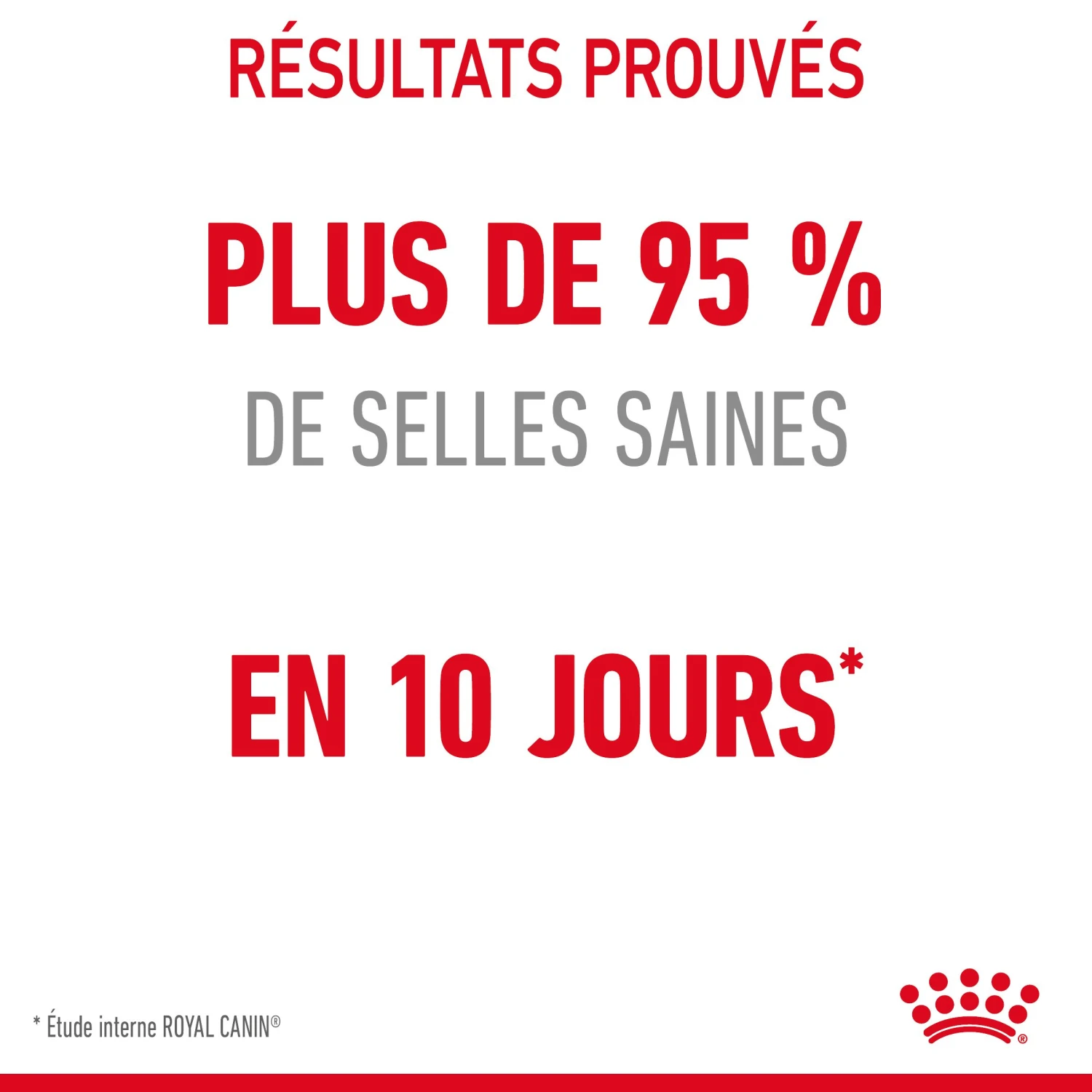 Royal Canin Digestive Care Pour Chat 2kg – Image 6