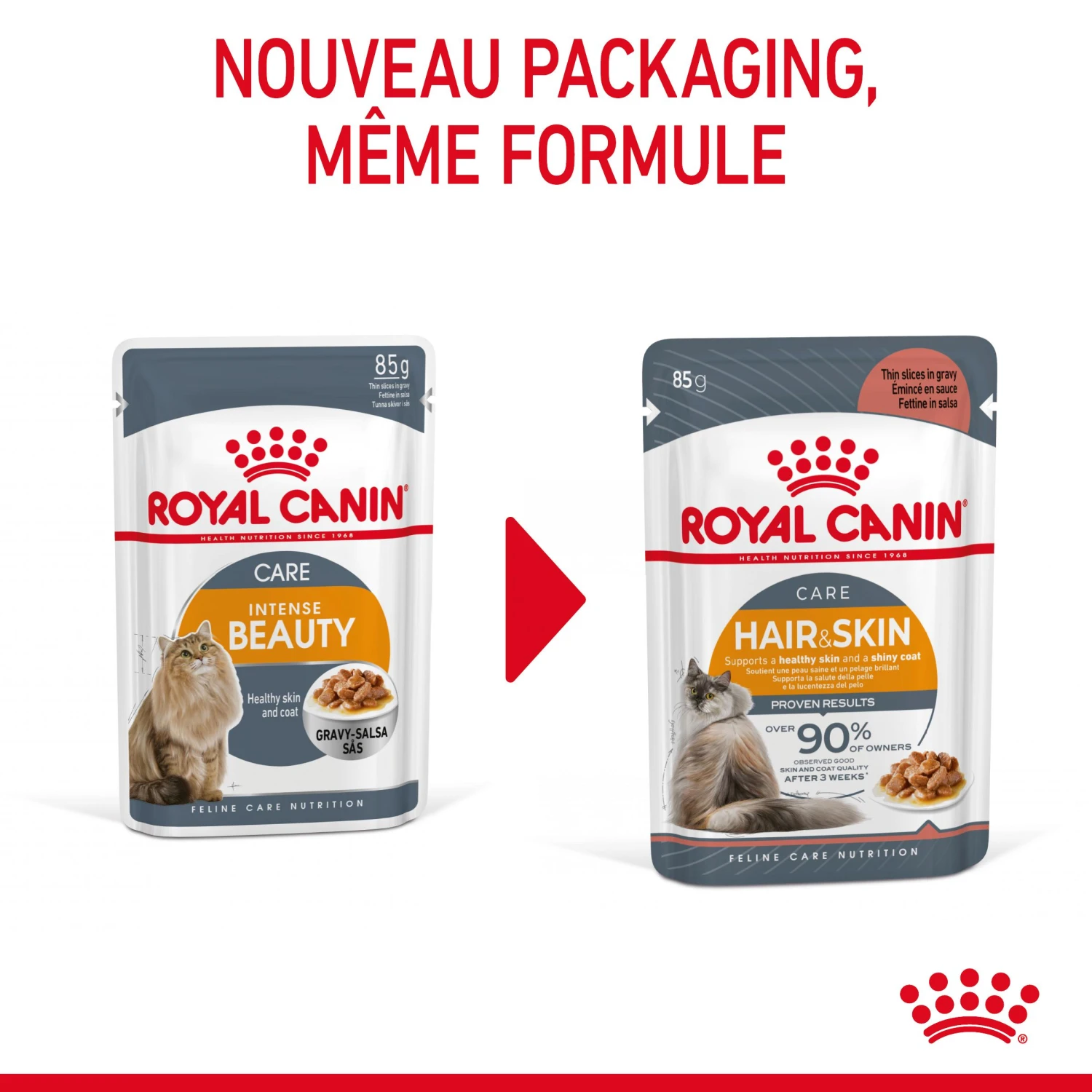 Royal Canin Hair & Skin Care En Sauce Pour Chat 12 Sachets De 85g – Image 4