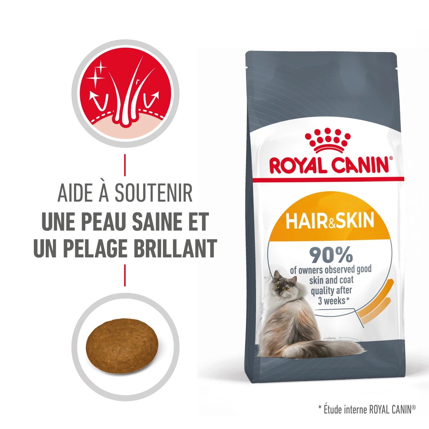 Royal Canin Hair & Skin Care Pour Chat 2kg – Image 2