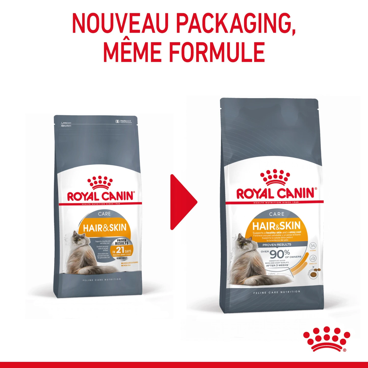 Royal Canin Hair & Skin Care Pour Chat 4kg – Image 3