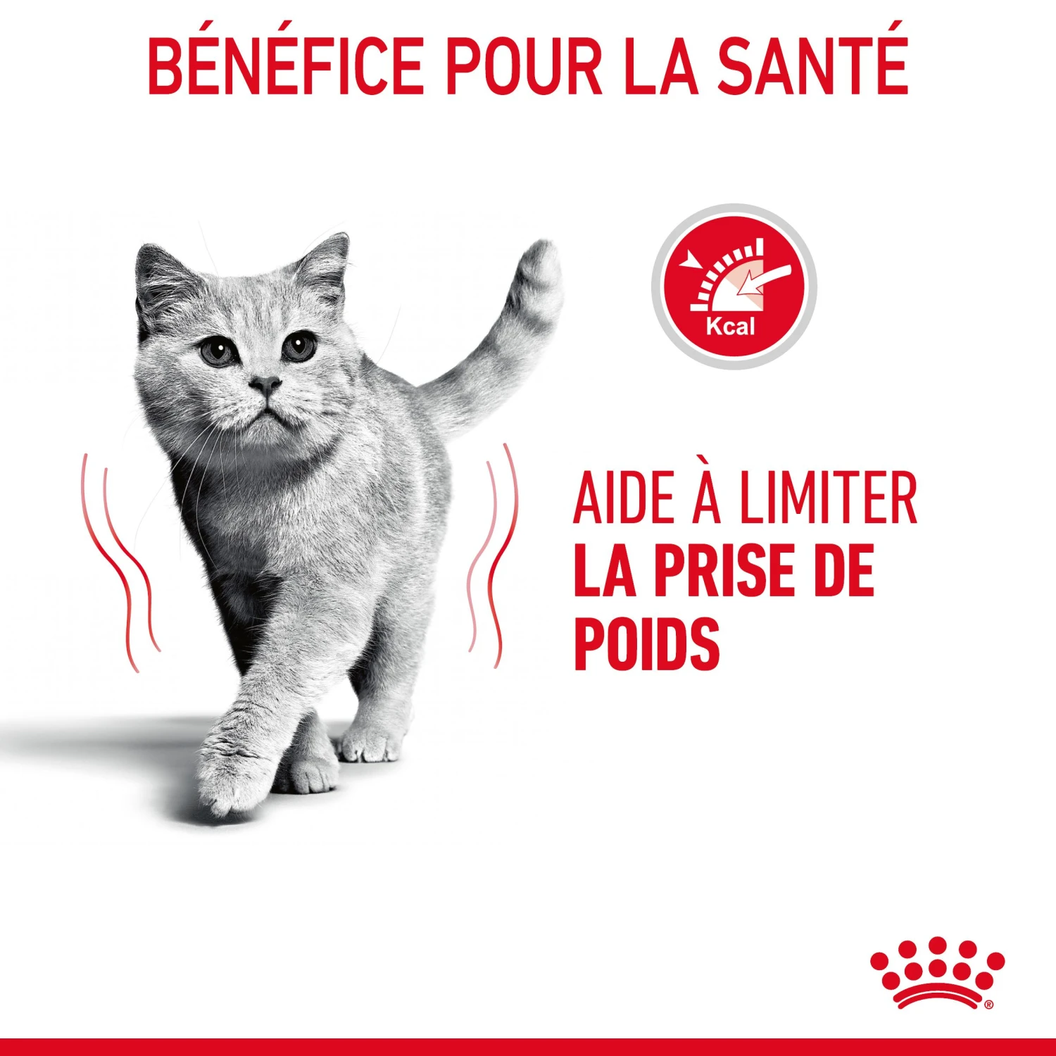 Royal Canin Light Weight Care Pour Chat 3kg – Image 7