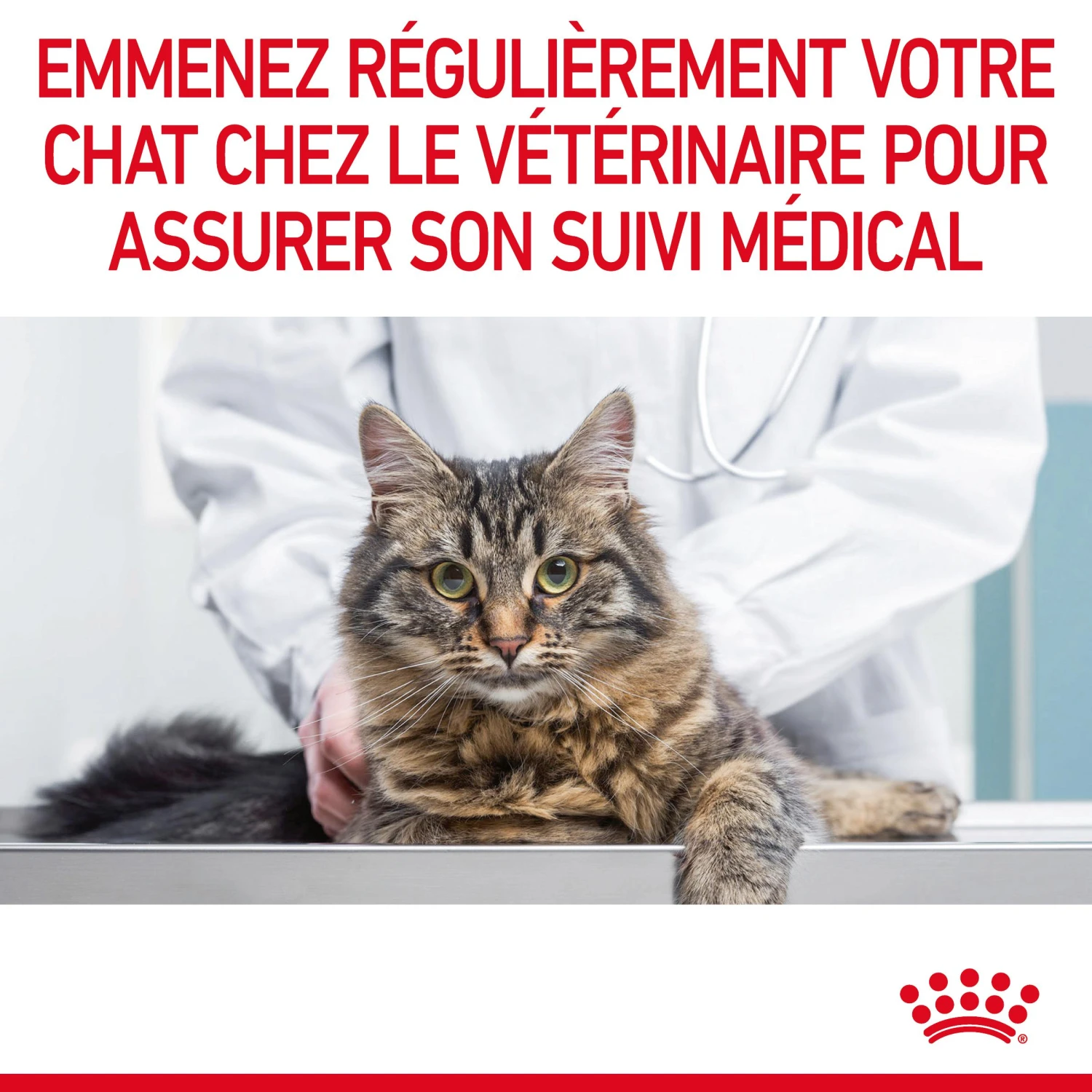 Royal Canin Light Weight Care Pour Chat 3kg – Image 11