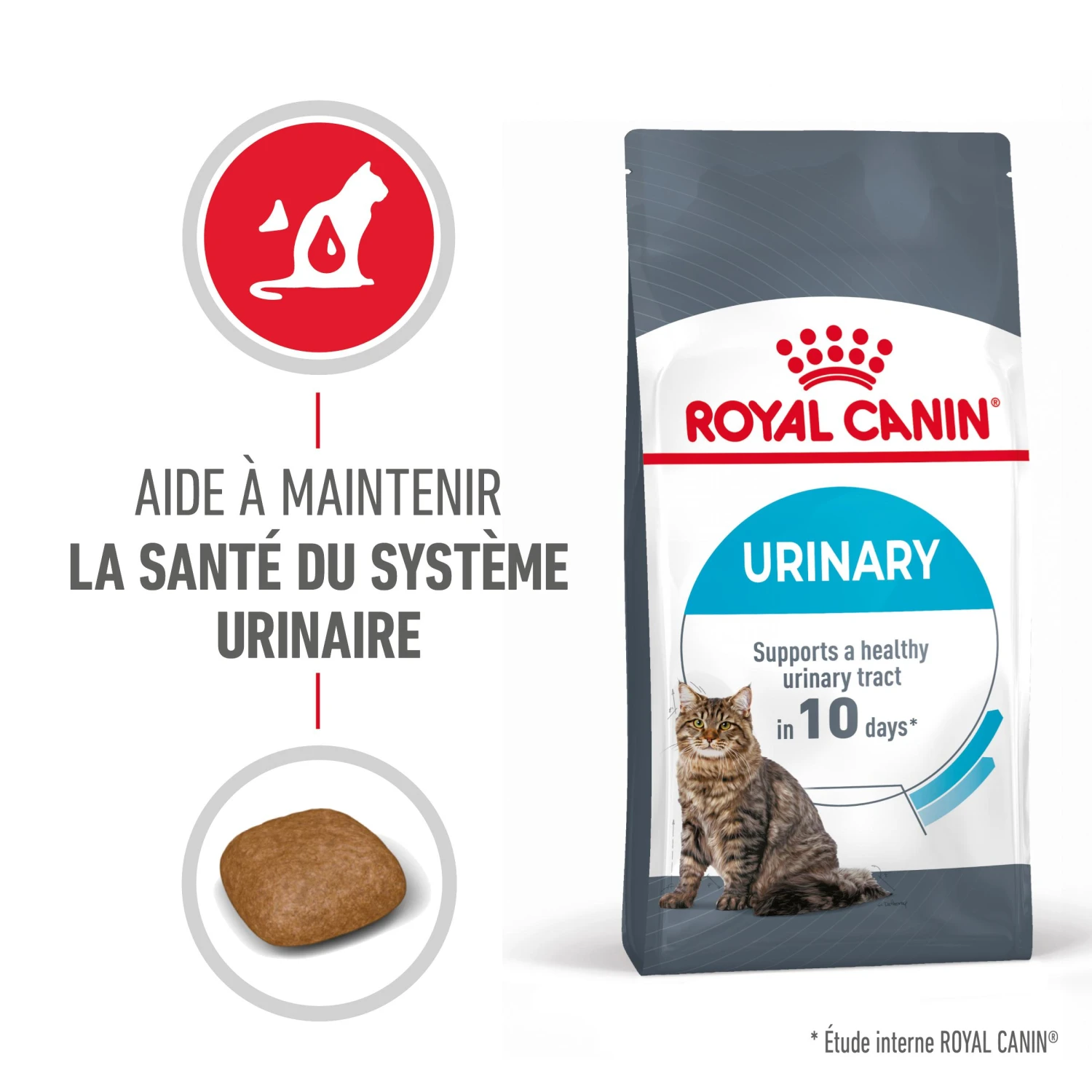 Royal Canin Urinary Care Pour Chat 10kg – Image 2