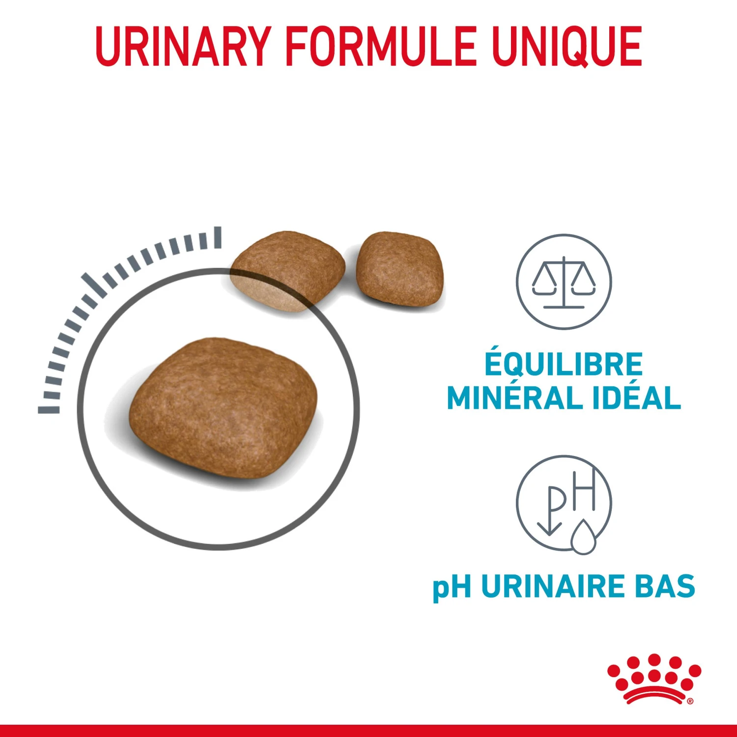 Royal Canin Urinary Care Pour Chat 10kg – Image 5