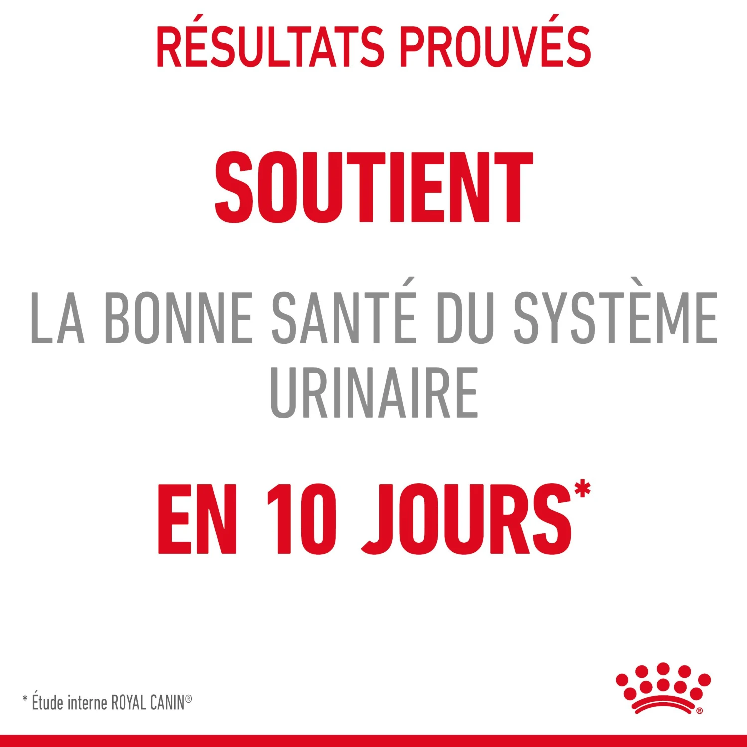 Royal Canin Urinary Care Pour Chat 10kg – Image 6
