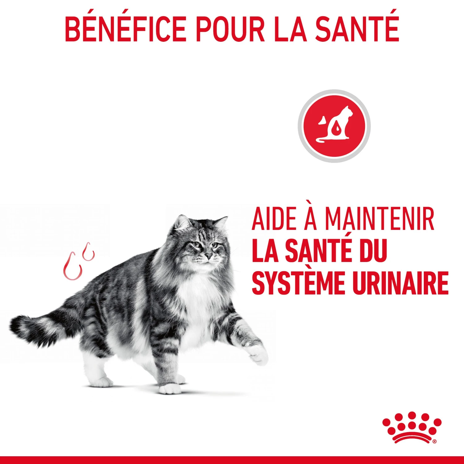 Royal Canin Urinary Care Pour Chat 2kg – Image 7