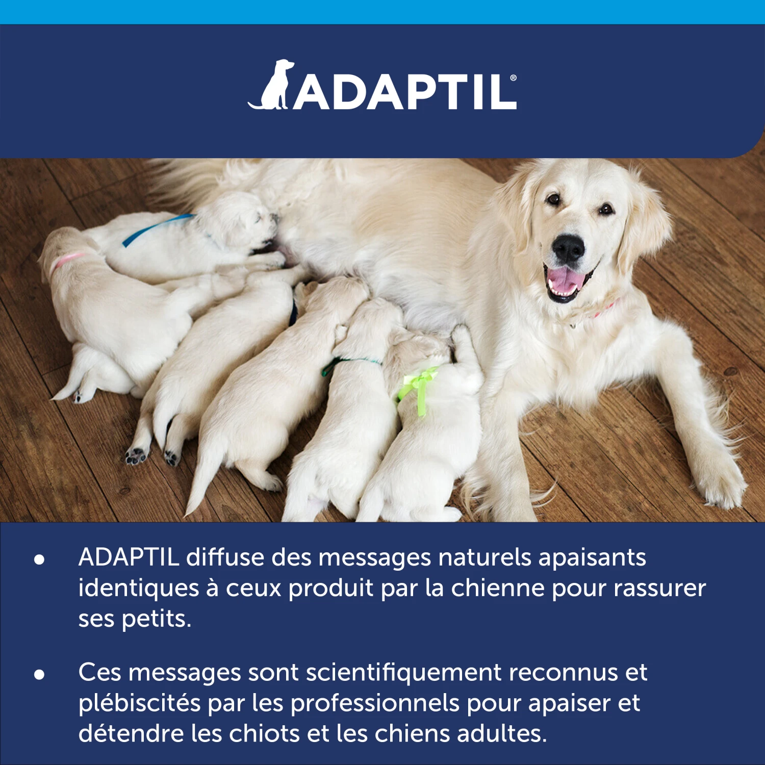 Diffuseur Adaptil Calm – Image 9