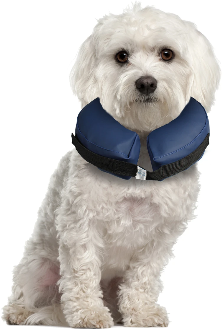 Flamingo Collier Gonflable Pour Chiens Gofi S – Image 5