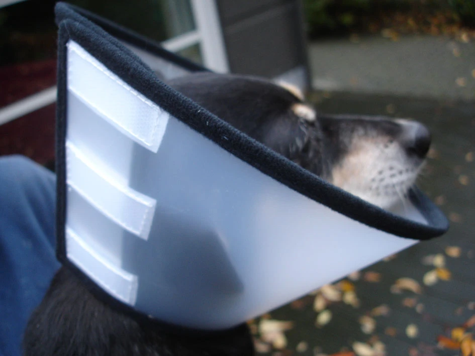 Flamingo Carcan Capo 38,5cm – Image 6