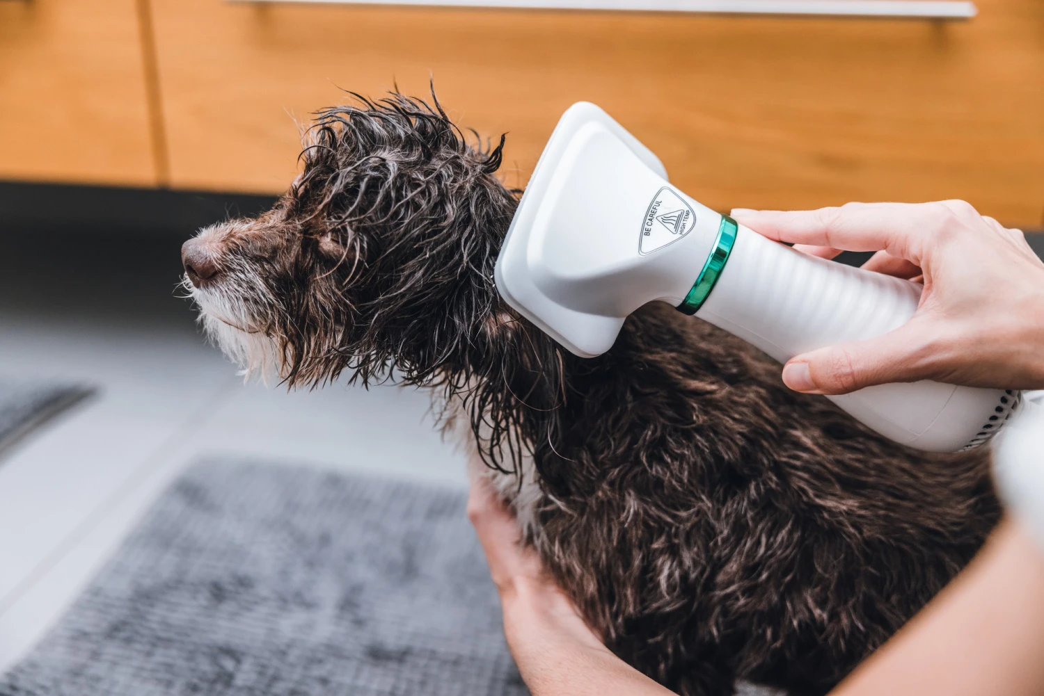 Trixie Brosse à Air Chaud 300w – Image 2