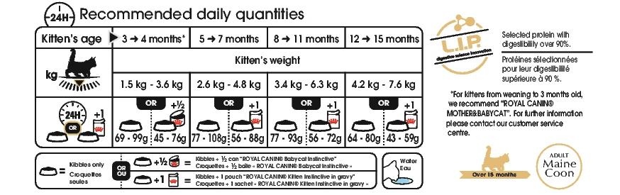 Royal Canin Maine Coon Chaton Pour Chat 4kg – Image 2