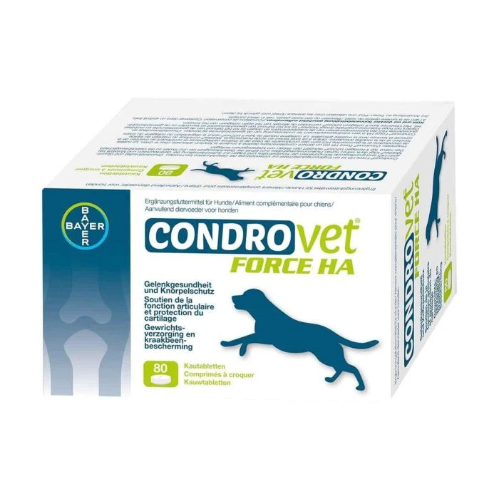 Condrovet Chien