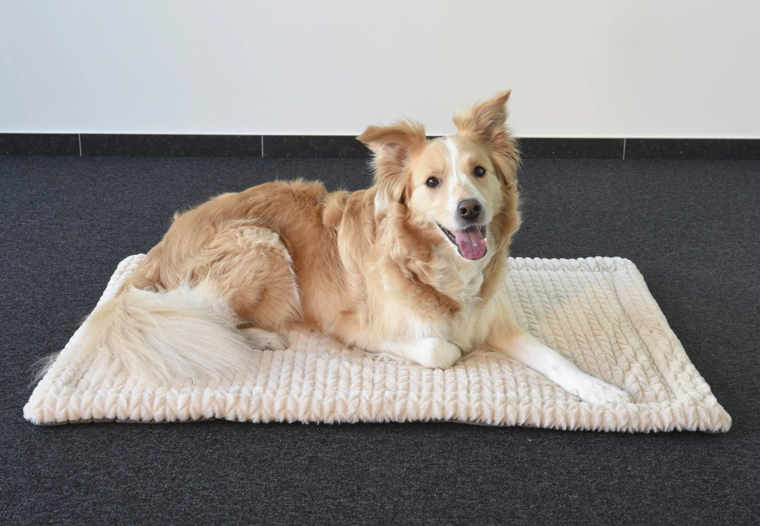 Flamingo Coussin Zupo Plat Rectangulaire Gris 100,5x63x2cm – Image 4