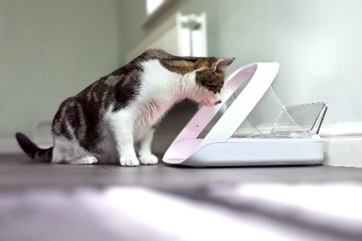 Sureflap Distributeur De Nourriture Connect Surefeed – Image 7