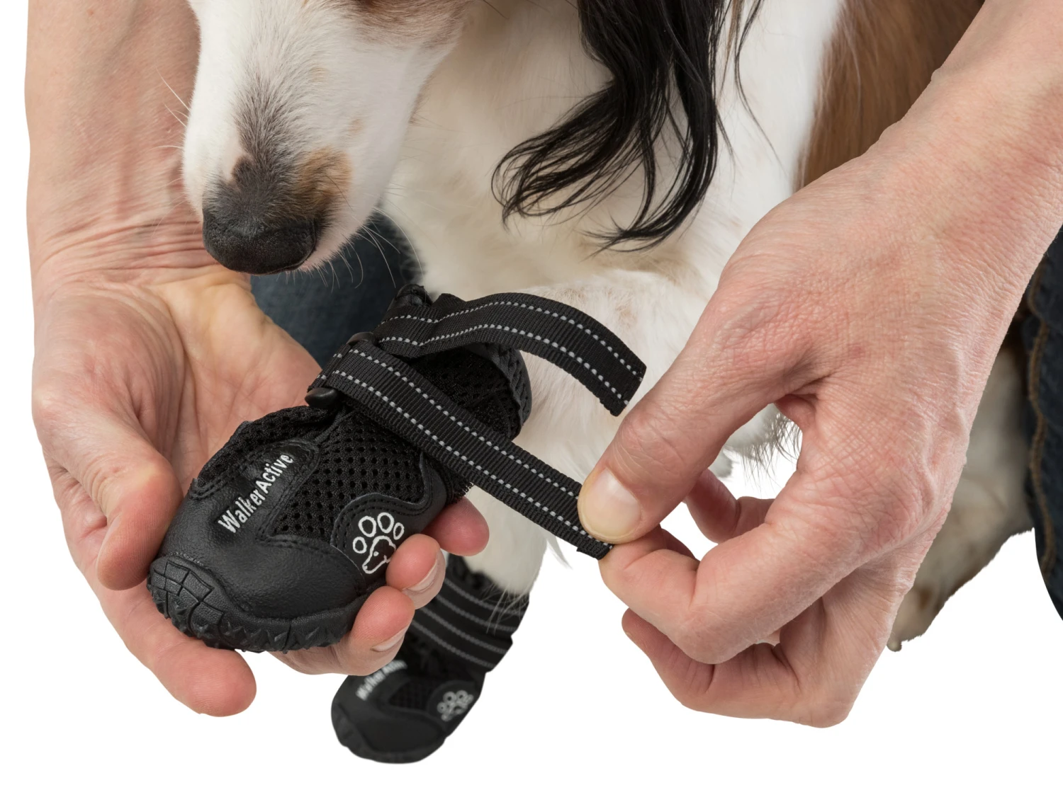 Trixie Chaussures De Protection Walker Active / XL 2pcs. – Image 6