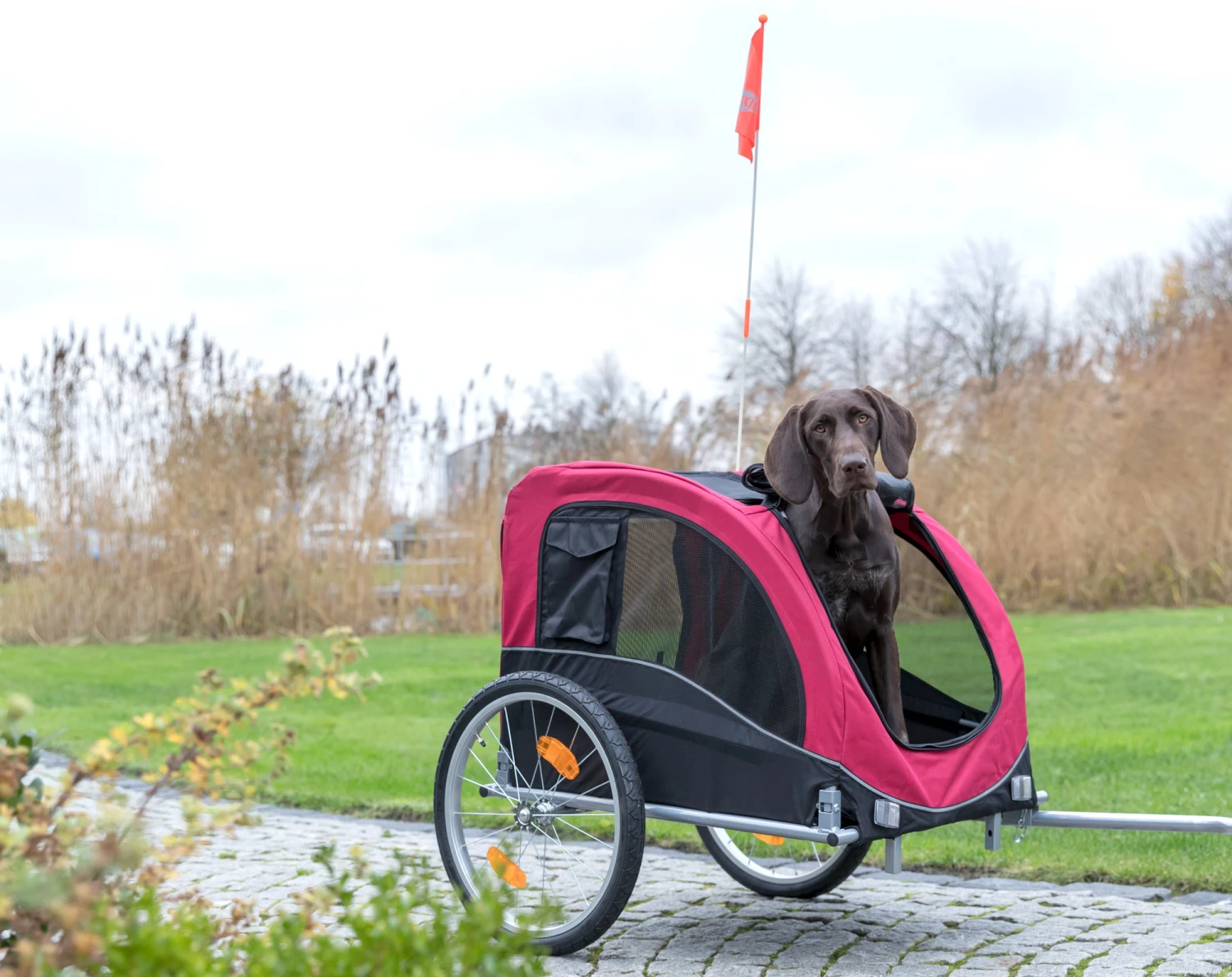 Trixie Remorque De Vélo Pour Chiens L 75 × 86 × 80 – Image 2