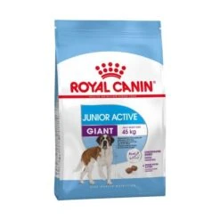 Royal Canin Giant Junior Active Pour Chien 15kg