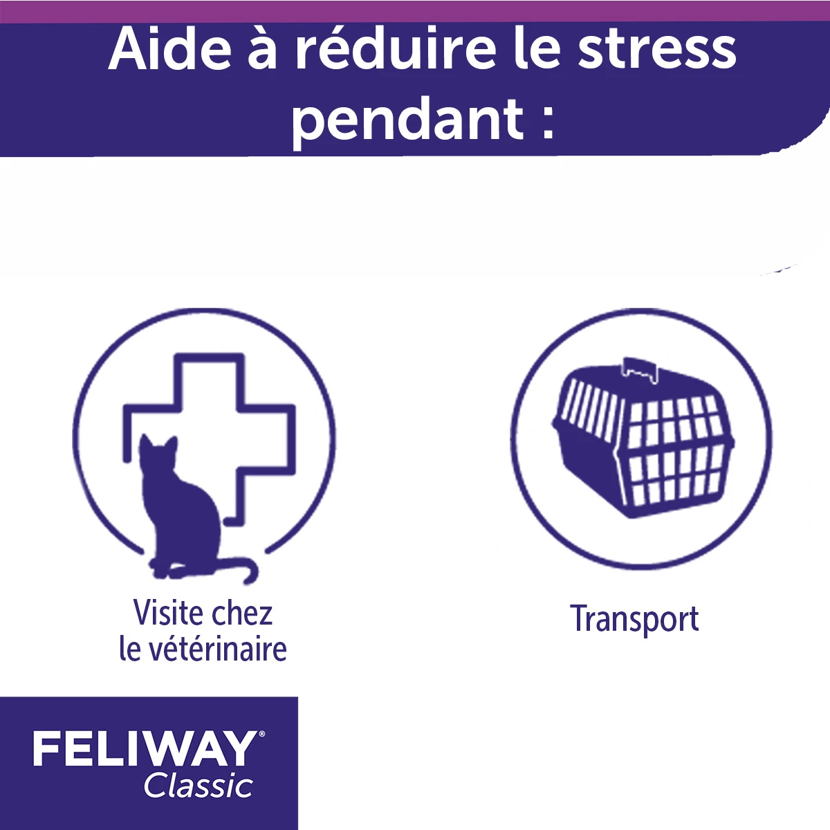 Feliway Spray 20ml – Image 4