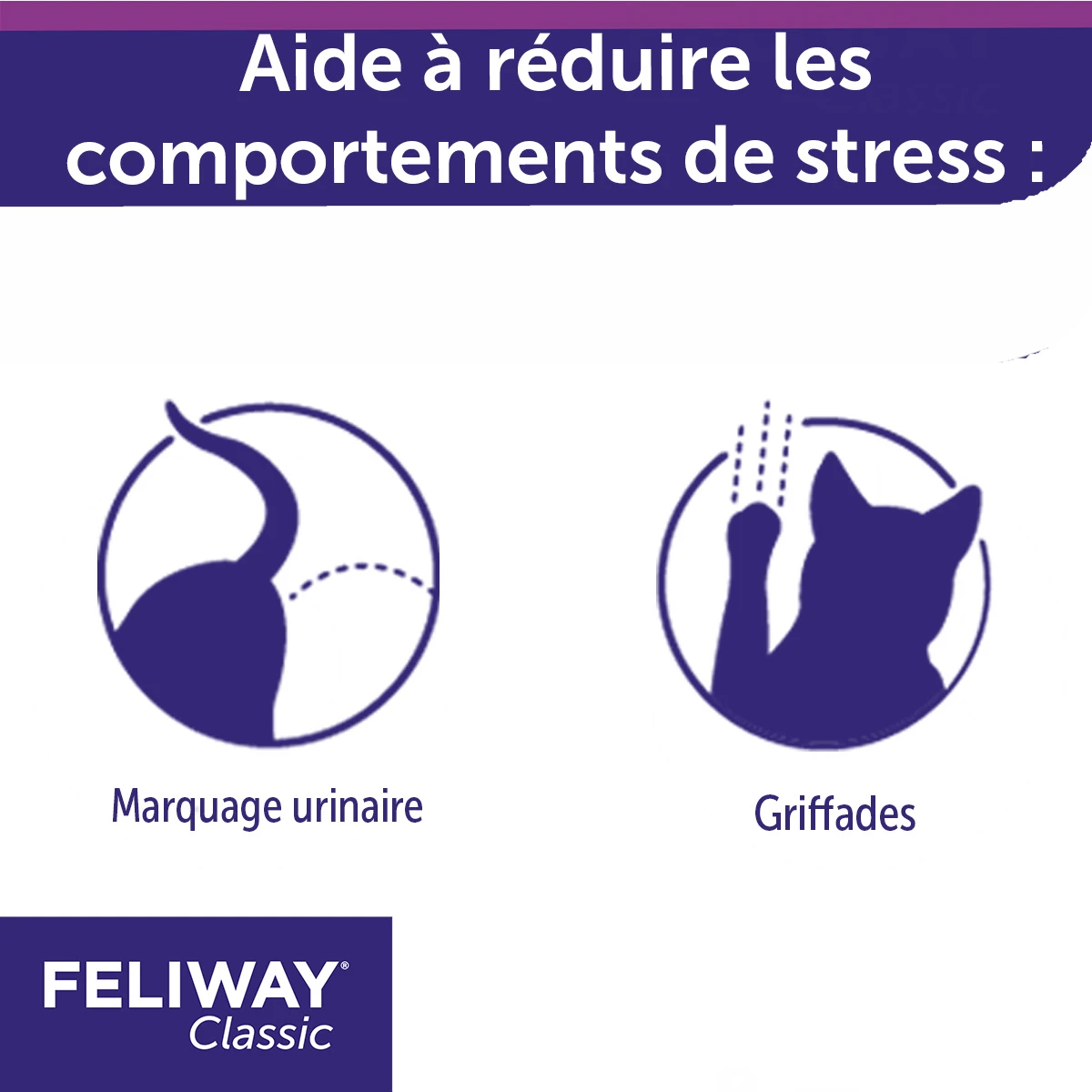 Feliway F3 Spray 60 Ml – Image 4