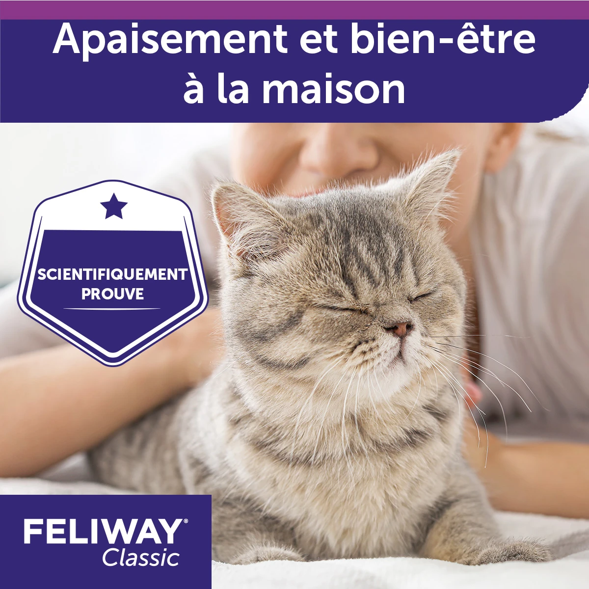 Feliway F3 Spray 60 Ml – Image 5