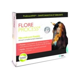 MSD FLORE PROCESS Cheval 5 Seringues De 20 Ml