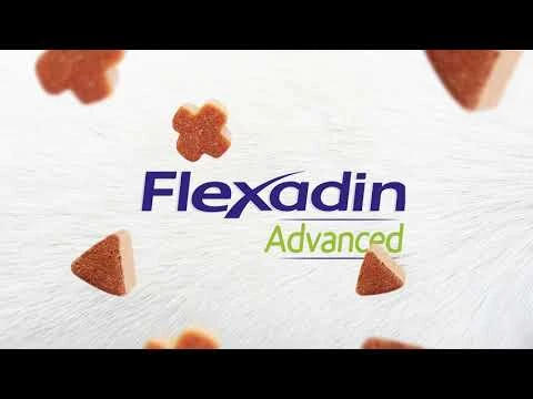 Flexadin Advanced Original 60 Bouchées – Image 3
