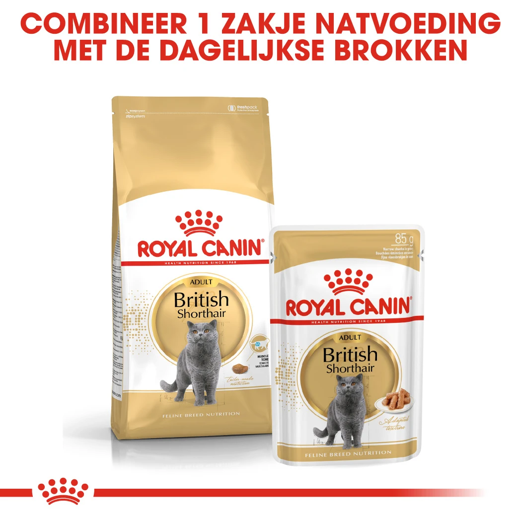 Royal Canin British Shorthair Pour Chat 4kg – Image 3
